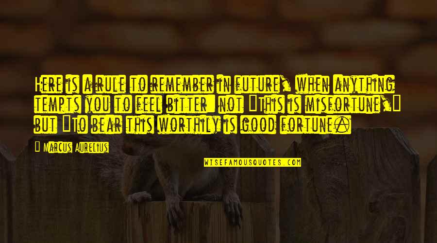 A Good Future Quotes By Marcus Aurelius: Here is a rule to remember in future,