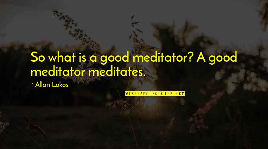 A Good Inspirational Quotes By Allan Lokos: So what is a good meditator? A good