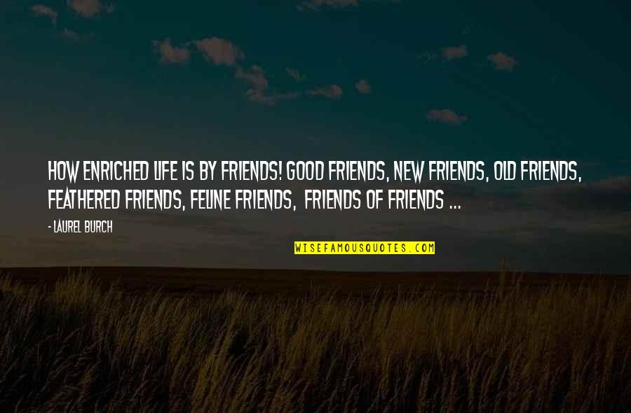 A Good Life With Friends Quotes By Laurel Burch: How enriched life is by friends! Good friends,