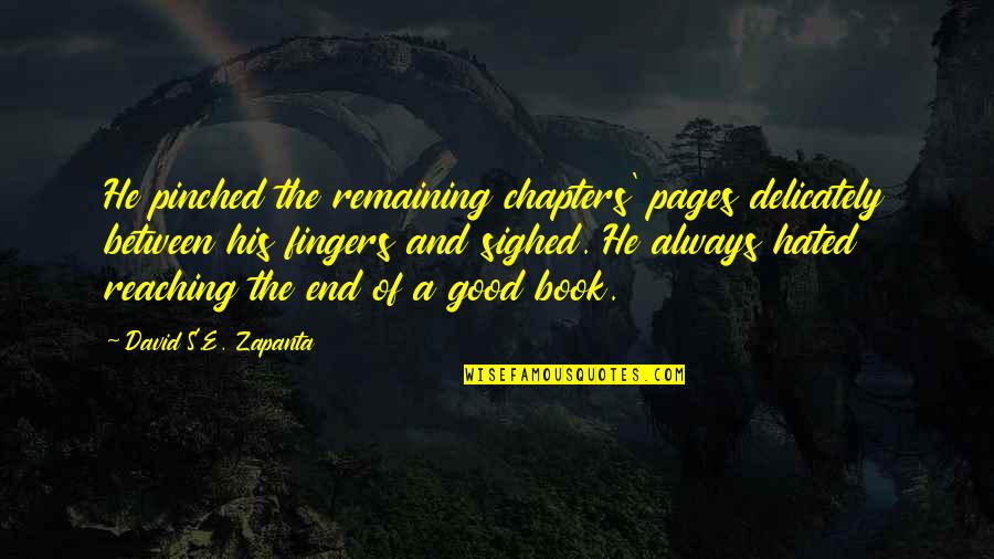 A Good Lover Quotes By David S.E. Zapanta: He pinched the remaining chapters' pages delicately between