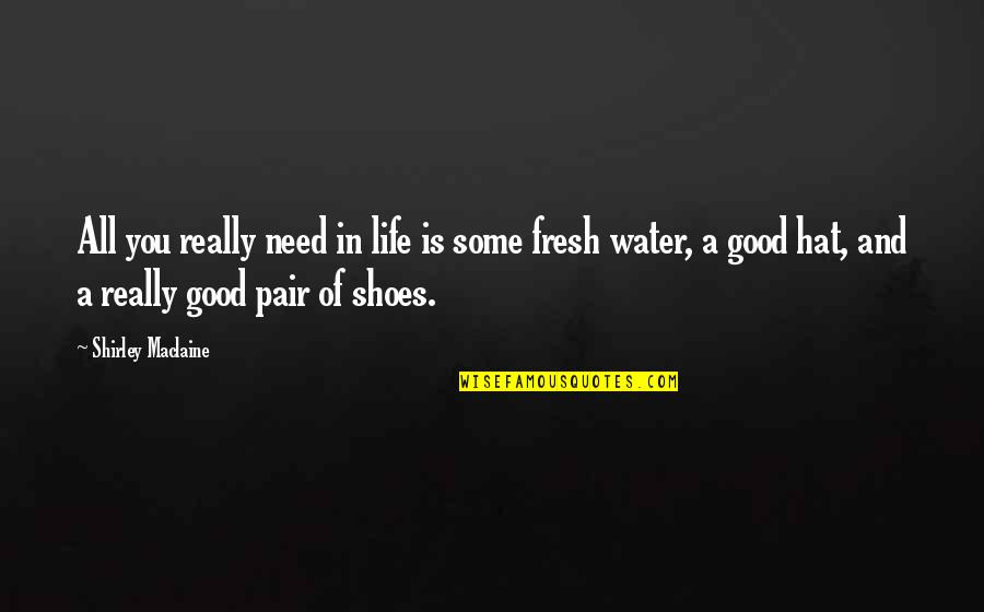 A Good Pair Of Shoes Quotes By Shirley Maclaine: All you really need in life is some