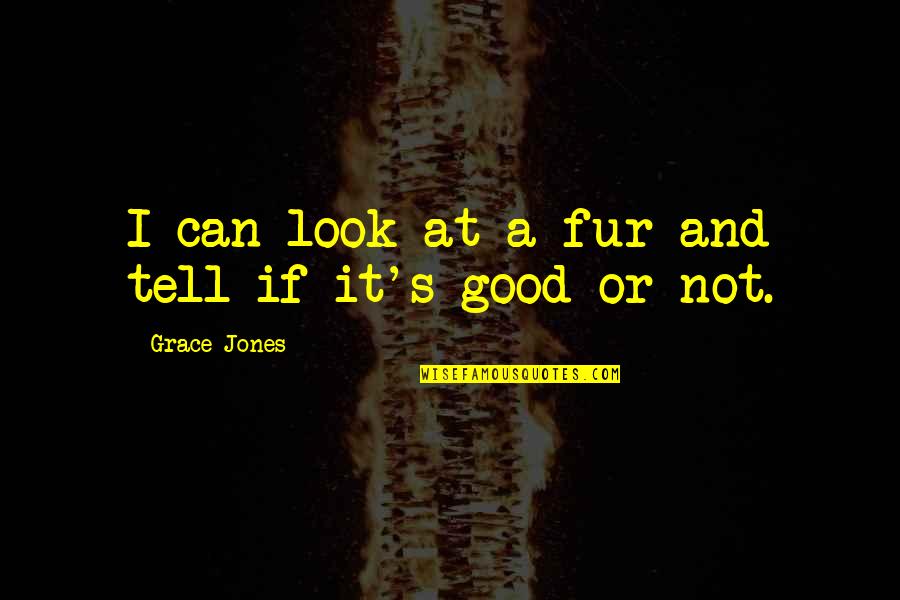 A Good Quotes By Grace Jones: I can look at a fur and tell