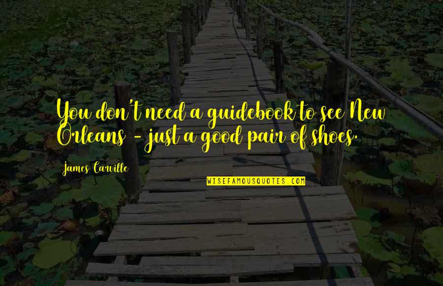 A Good Shoes Quotes By James Carville: You don't need a guidebook to see New