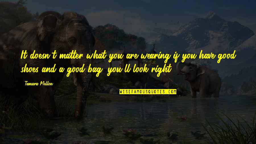 A Good Shoes Quotes By Tamara Mellon: It doesn't matter what you are wearing-if you A Good Shoes Quotes By Tamara Mellon: It doesn't matter what you are wearing-if you