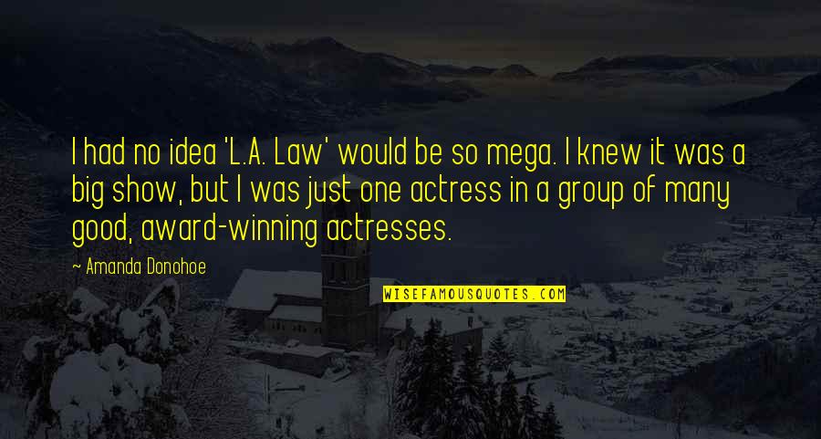 A Good Show Quotes By Amanda Donohoe: I had no idea 'L.A. Law' would be