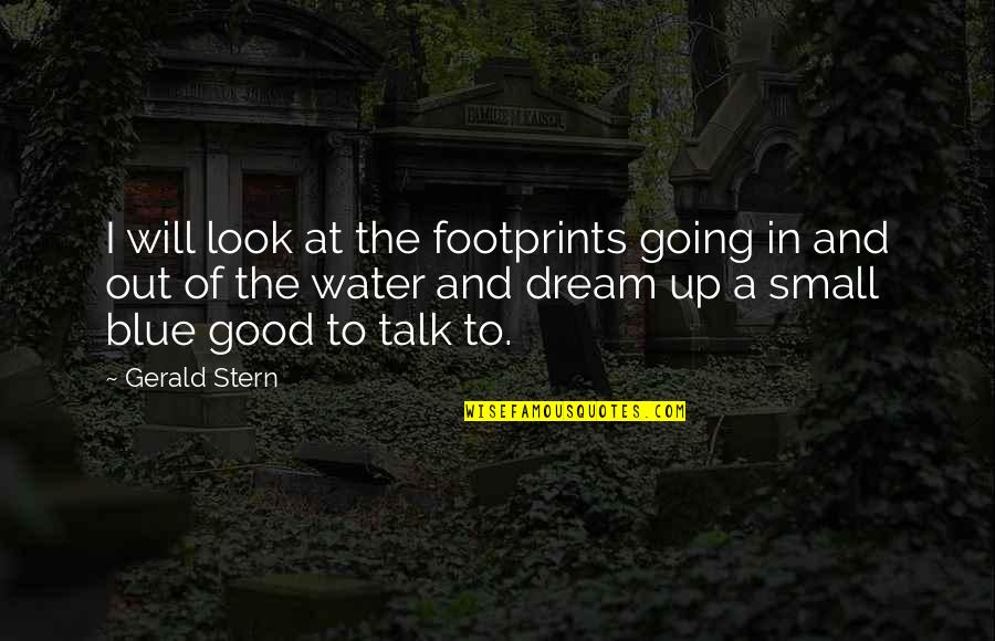 A Good Talk Quotes By Gerald Stern: I will look at the footprints going in