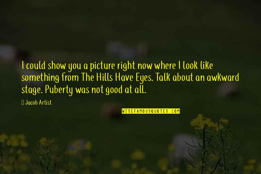 A Good Talk Quotes By Jacob Artist: I could show you a picture right now