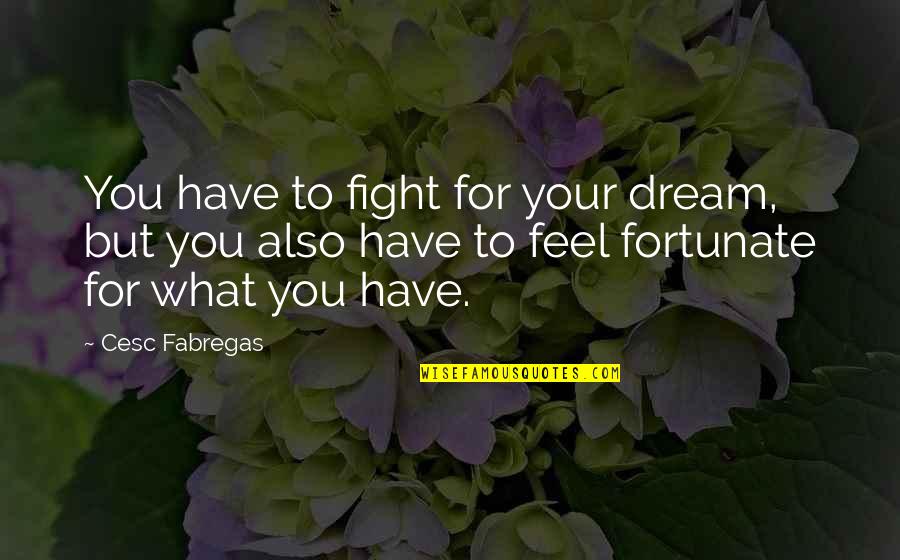 A Good Woman Deserves Quotes By Cesc Fabregas: You have to fight for your dream, but