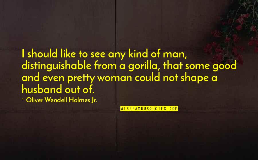 A Good Woman For A Man' Quotes By Oliver Wendell Holmes Jr.: I should like to see any kind of