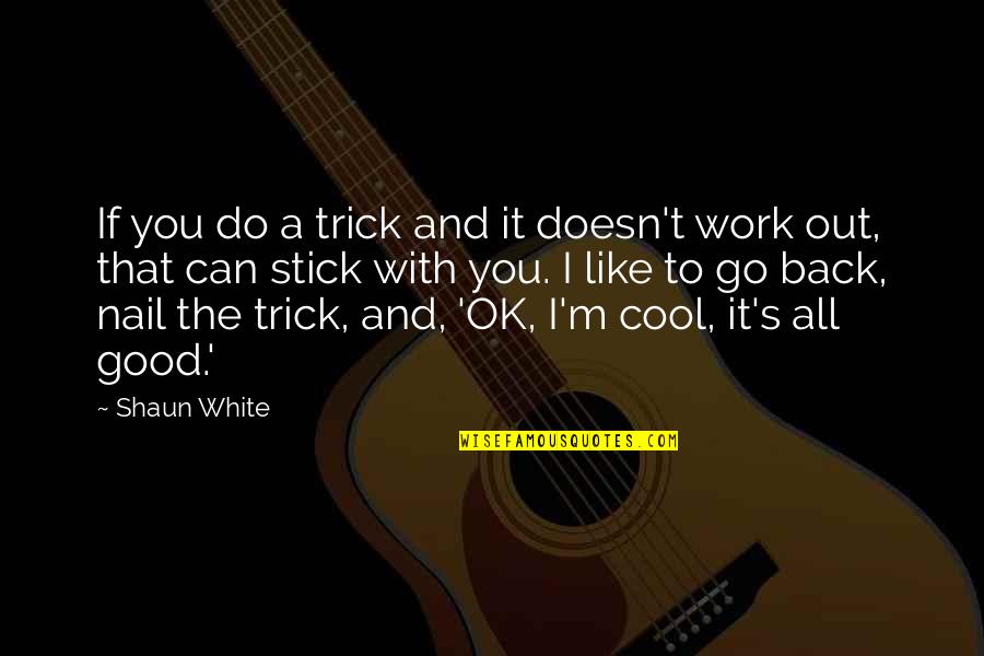 A Good Work Out Quotes By Shaun White: If you do a trick and it doesn't