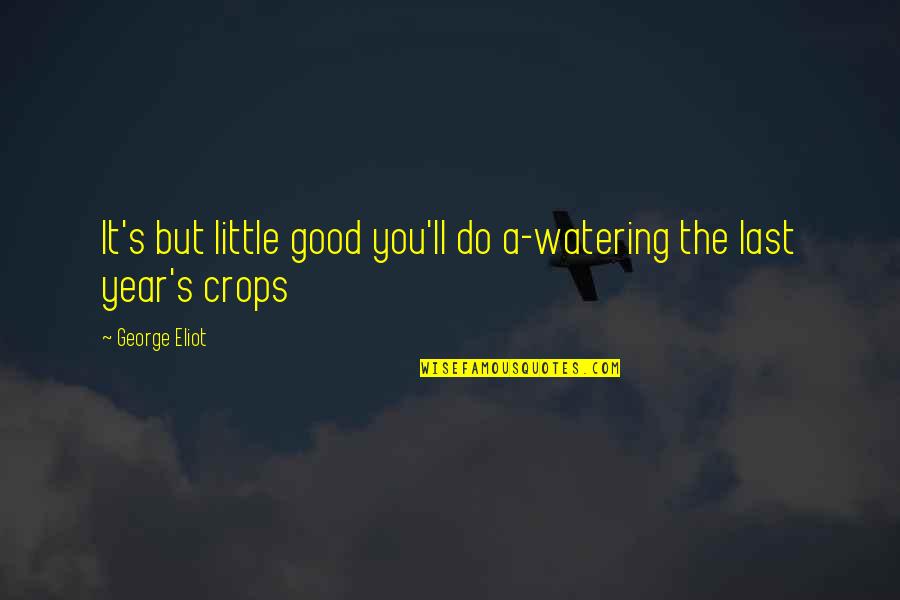 A Good Year Quotes By George Eliot: It's but little good you'll do a-watering the