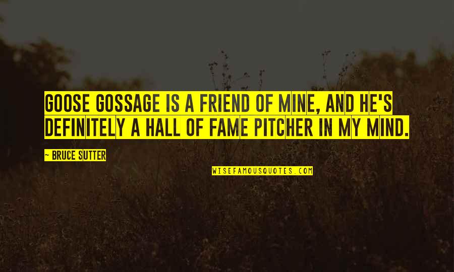 A Goose Quotes By Bruce Sutter: Goose Gossage is a friend of mine, and