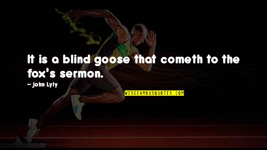 A Goose Quotes By John Lyly: It is a blind goose that cometh to