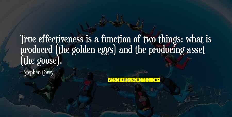 A Goose Quotes By Stephen Covey: True effectiveness is a function of two things: