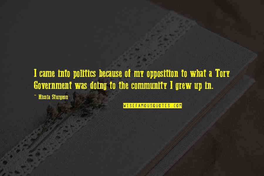 A Government Without Opposition Quotes By Nicola Sturgeon: I came into politics because of my opposition A Government Without Opposition Quotes By Nicola Sturgeon: I came into politics because of my opposition