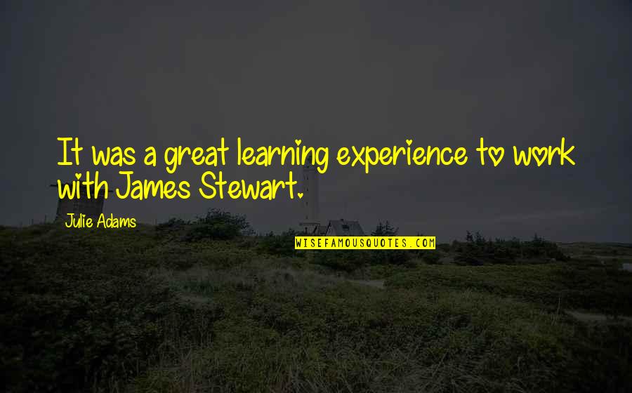 A Great Experience Quotes By Julie Adams: It was a great learning experience to work