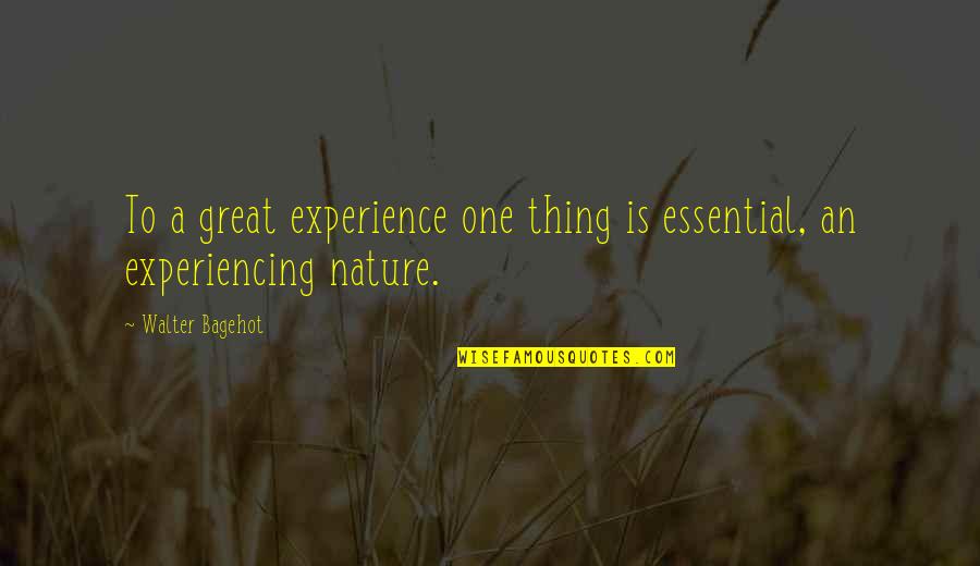 A Great Experience Quotes By Walter Bagehot: To a great experience one thing is essential,