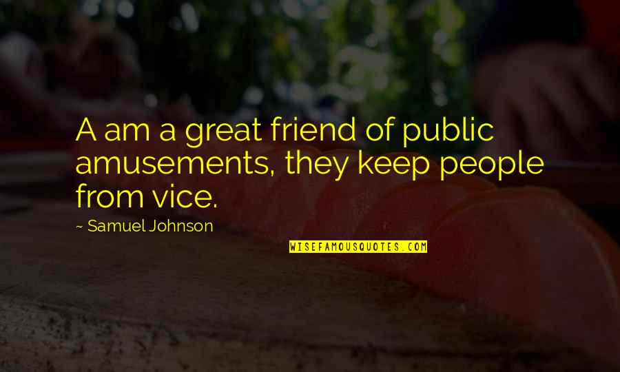 A Great Friend Quotes By Samuel Johnson: A am a great friend of public amusements,