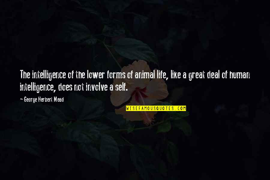 A Great Life Quotes By George Herbert Mead: The intelligence of the lower forms of animal