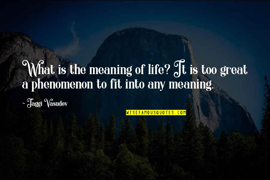 A Great Life Quotes By Jaggi Vasudev: What is the meaning of life? It is