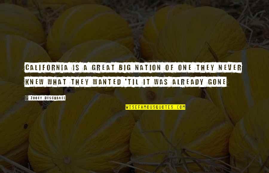 A Great Nation Quotes By Zooey Deschanel: California is a great big nation of one