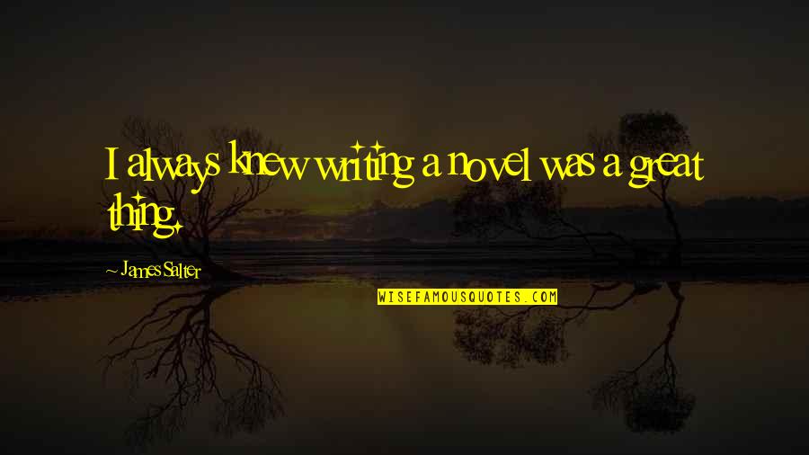 A Great Novel Quotes By James Salter: I always knew writing a novel was a