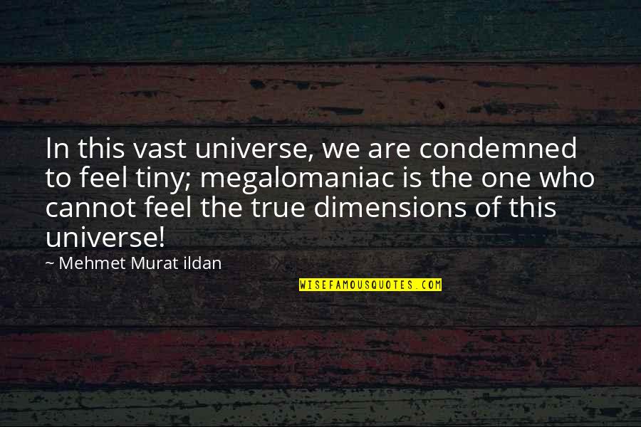 A Great Sister Quotes By Mehmet Murat Ildan: In this vast universe, we are condemned to