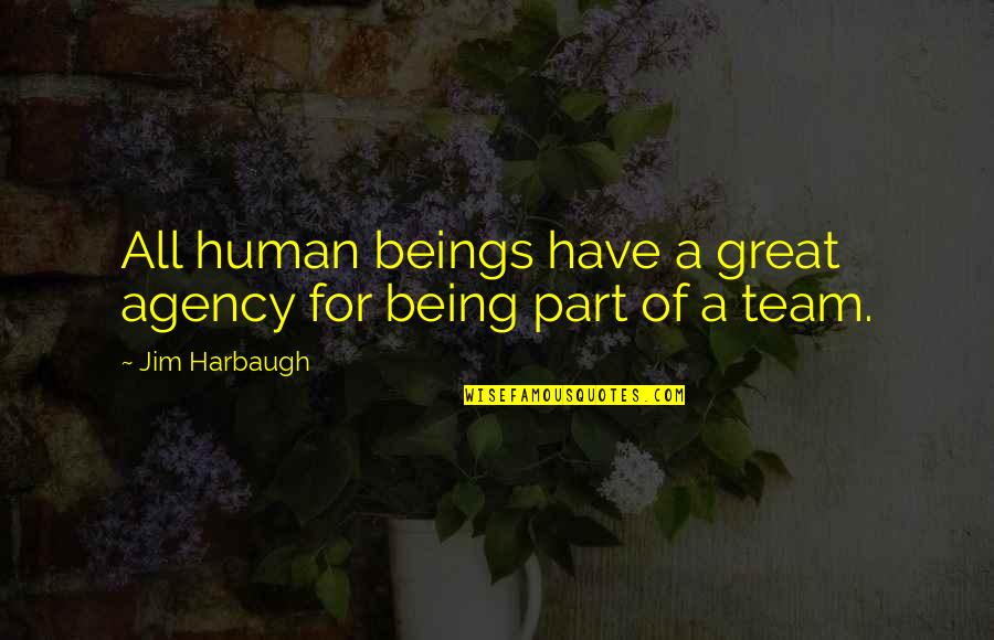 A Great Team Quotes By Jim Harbaugh: All human beings have a great agency for