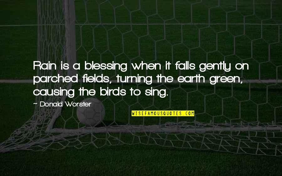 A Green Earth Quotes By Donald Worster: Rain is a blessing when it falls gently A Green Earth Quotes By Donald Worster: Rain is a blessing when it falls gently