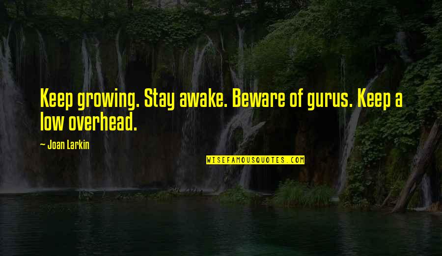A Guru Quotes By Joan Larkin: Keep growing. Stay awake. Beware of gurus. Keep
