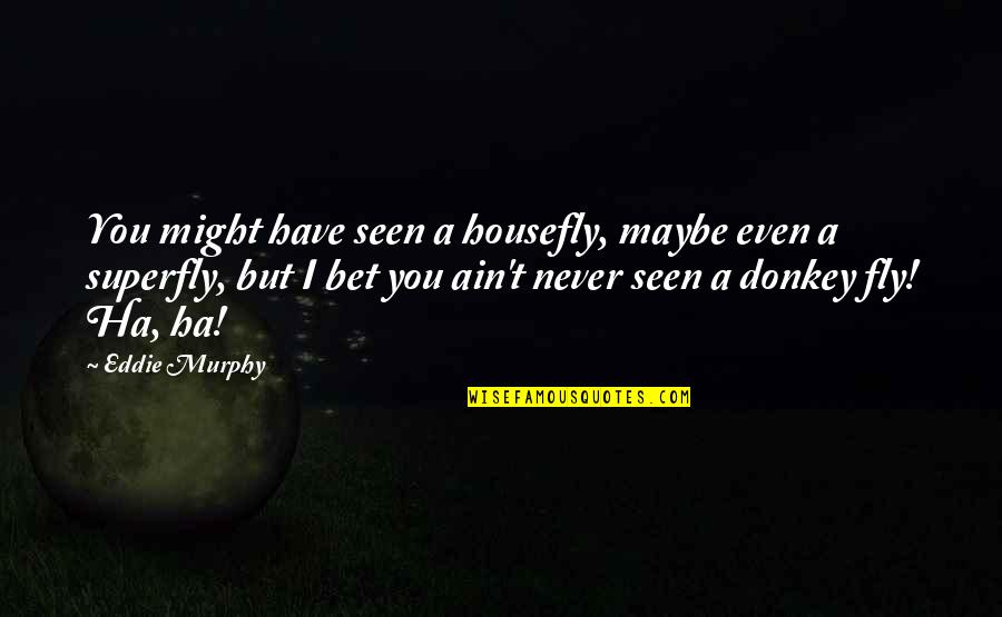 A Ha Quotes By Eddie Murphy: You might have seen a housefly, maybe even A Ha Quotes By Eddie Murphy: You might have seen a housefly, maybe even