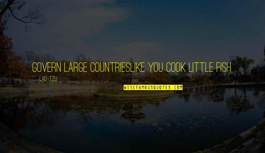 A Handmaid S Tale Quotes By Lao-Tzu: Govern large countrieslike you cook little fish.