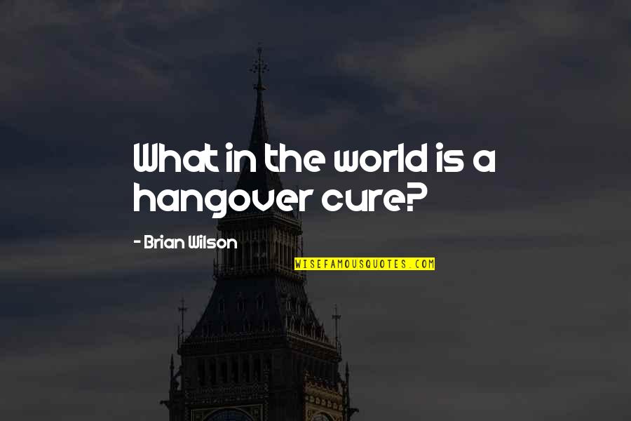 A Hangover Quotes By Brian Wilson: What in the world is a hangover cure?