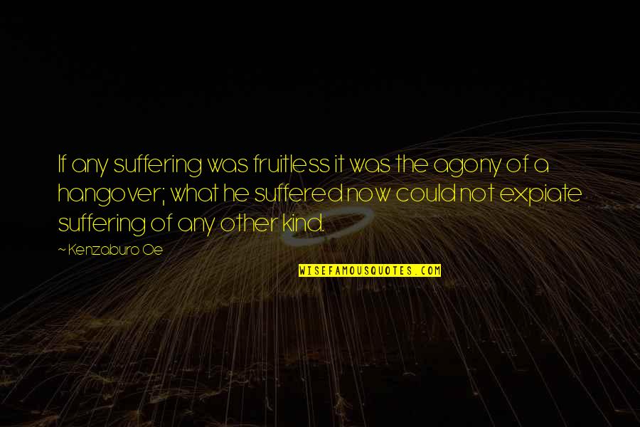 A Hangover Quotes By Kenzaburo Oe: If any suffering was fruitless it was the