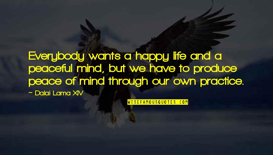 A Happy Life Quotes By Dalai Lama XIV: Everybody wants a happy life and a peaceful