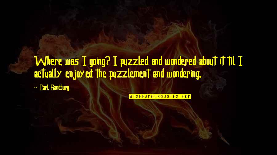 A Hardworking Man Quotes By Carl Sandburg: Where was I going? I puzzled and wondered