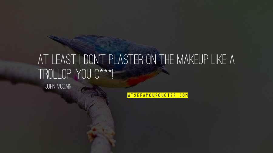 A Hater Quotes By John McCain: At least I don't plaster on the makeup