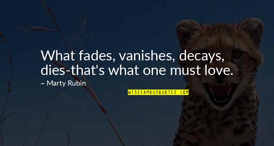 A Health Journey Quotes By Marty Rubin: What fades, vanishes, decays, dies-that's what one must