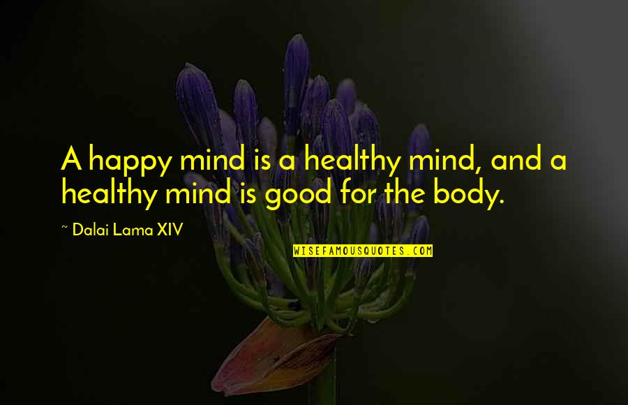 A Healthy Mind Quotes By Dalai Lama XIV: A happy mind is a healthy mind, and
