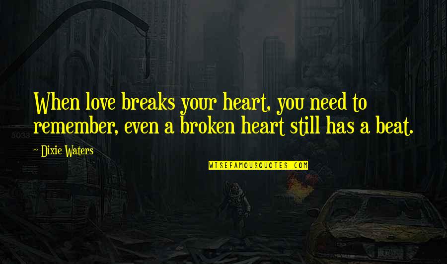 A Heartbreak Quotes By Dixie Waters: When love breaks your heart, you need to