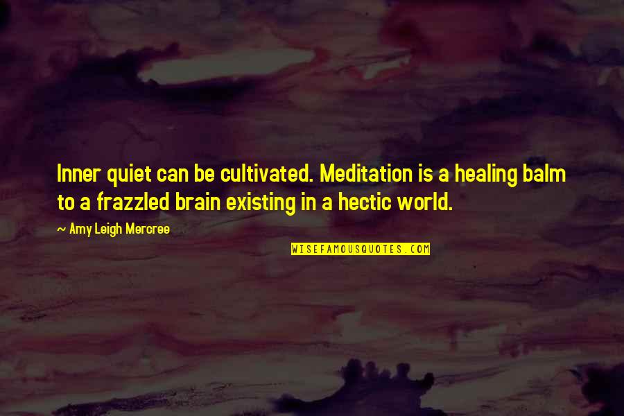 A Hectic Day Quotes By Amy Leigh Mercree: Inner quiet can be cultivated. Meditation is a