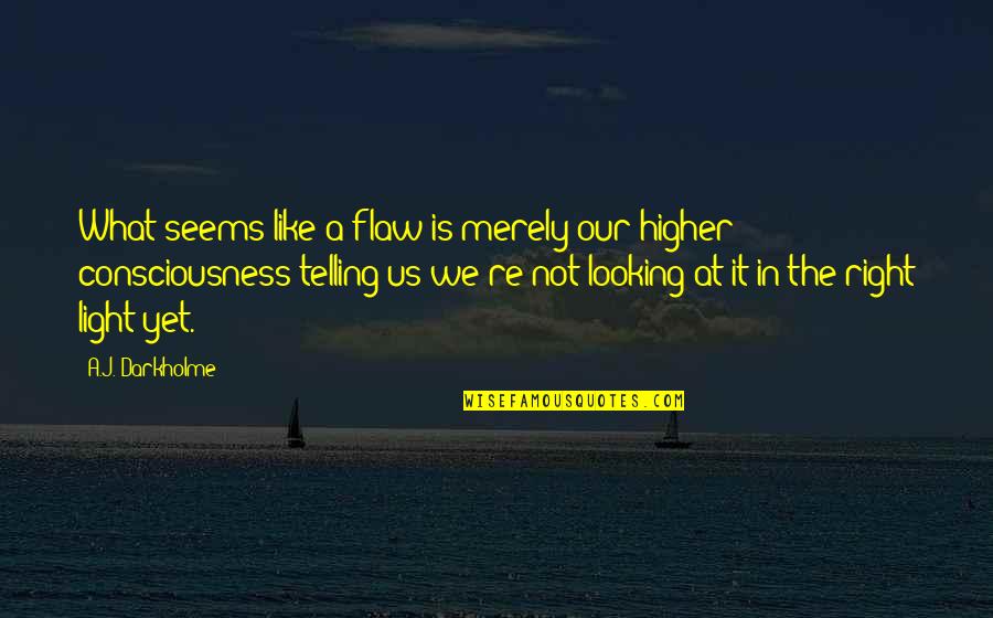 A Higher Consciousness Quotes By A.J. Darkholme: What seems like a flaw is merely our