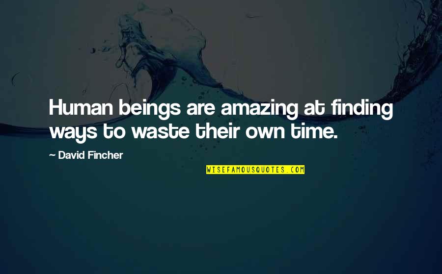 A History Of Western Philosophy Quotes By David Fincher: Human beings are amazing at finding ways to