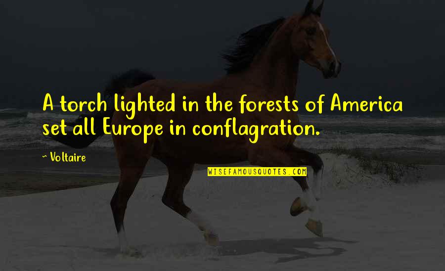 A History Quotes By Voltaire: A torch lighted in the forests of America