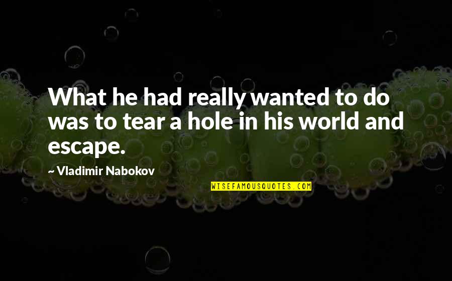 A Hole In The World Quotes By Vladimir Nabokov: What he had really wanted to do was