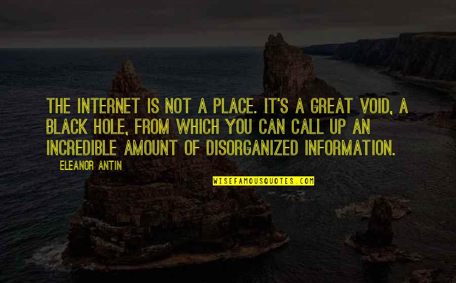 A Hole Quotes By Eleanor Antin: The Internet is not a place. It's a