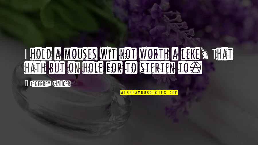 A Hole Quotes By Geoffrey Chaucer: I hold a mouses wit not worth a