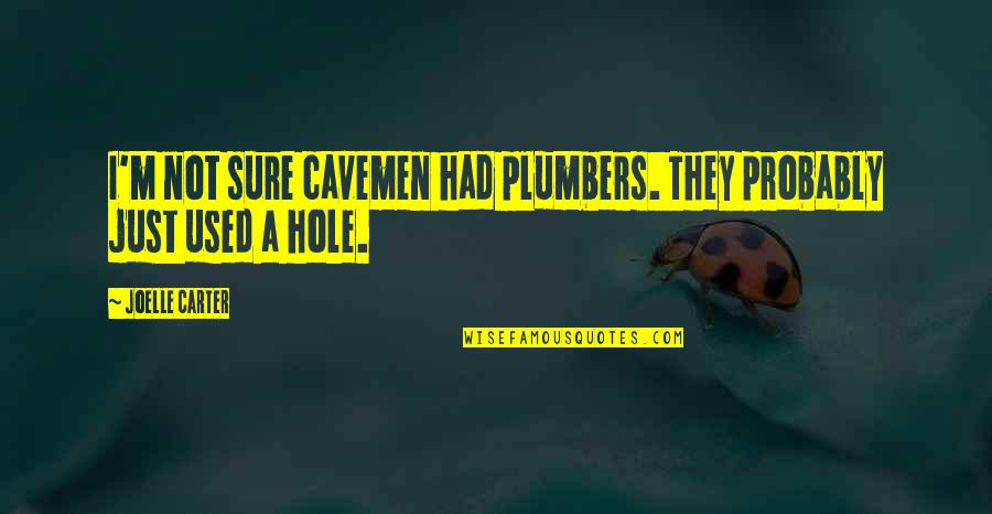 A Hole Quotes By Joelle Carter: I'm not sure cavemen had plumbers. They probably