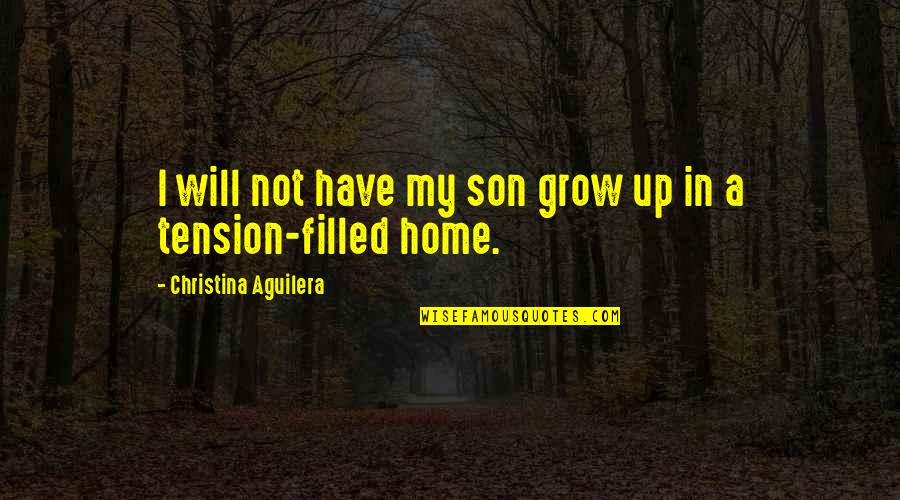 A Home Is Filled With Quotes By Christina Aguilera: I will not have my son grow up