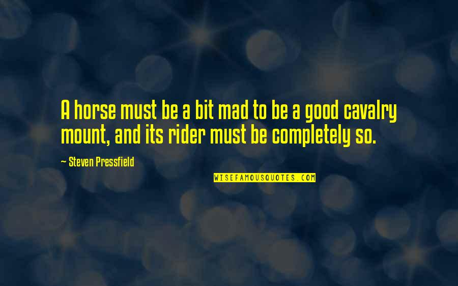 A Horse And Rider Quotes By Steven Pressfield: A horse must be a bit mad to